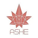 ASHE Society (D-ASHE Delivery)-logo